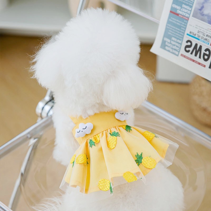 Luxury Dog