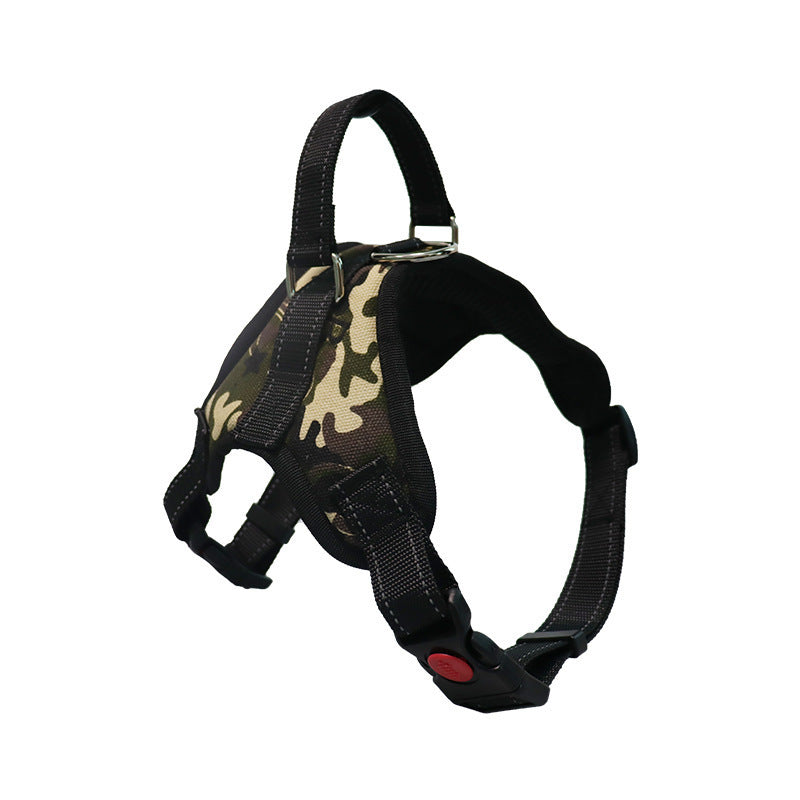 TailTag – Collar for Medium & Large Dogs