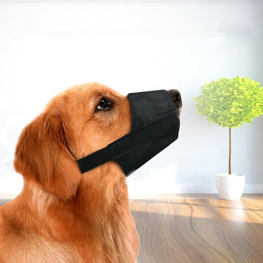 SnoutGuard – Comfy Muzzle for Calm Walks