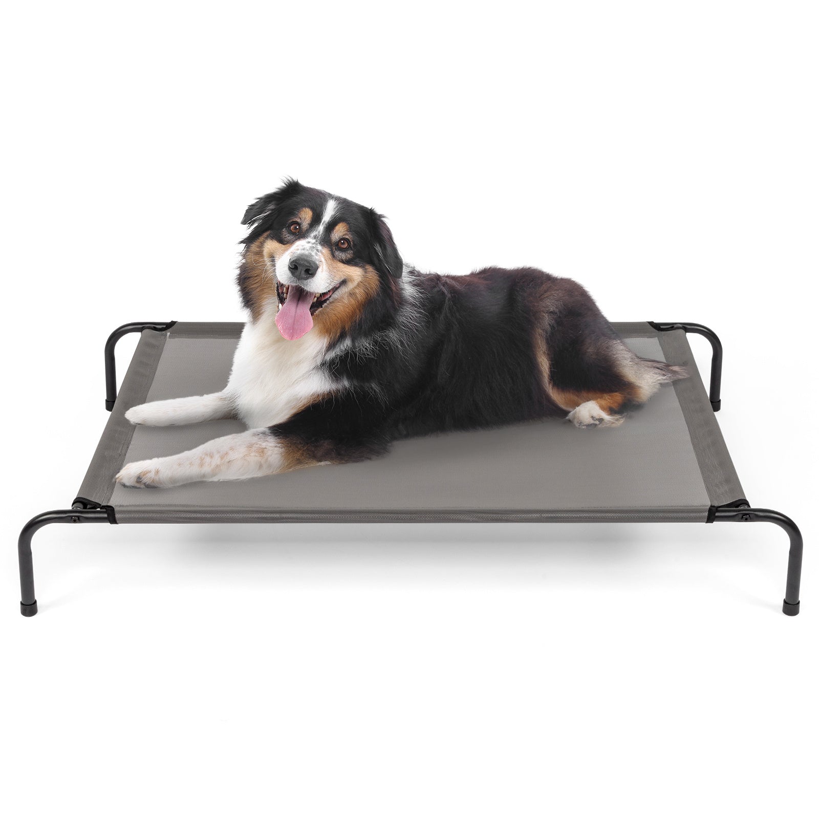 Nap Time – Comfy Beds for Happy Pets