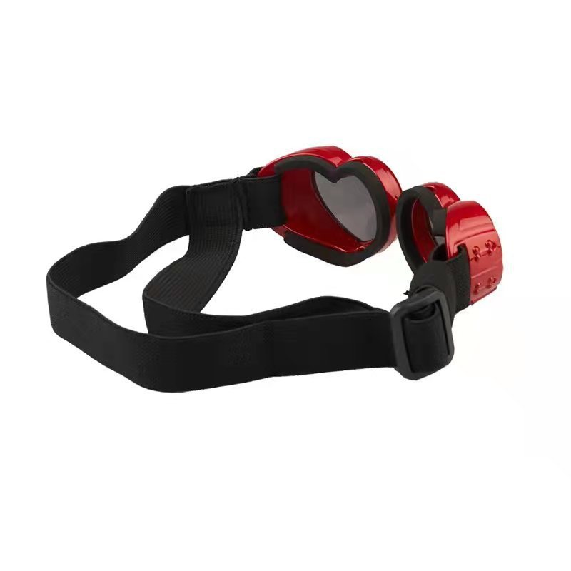 EyeGuard – Windproof Glasses for Pets
