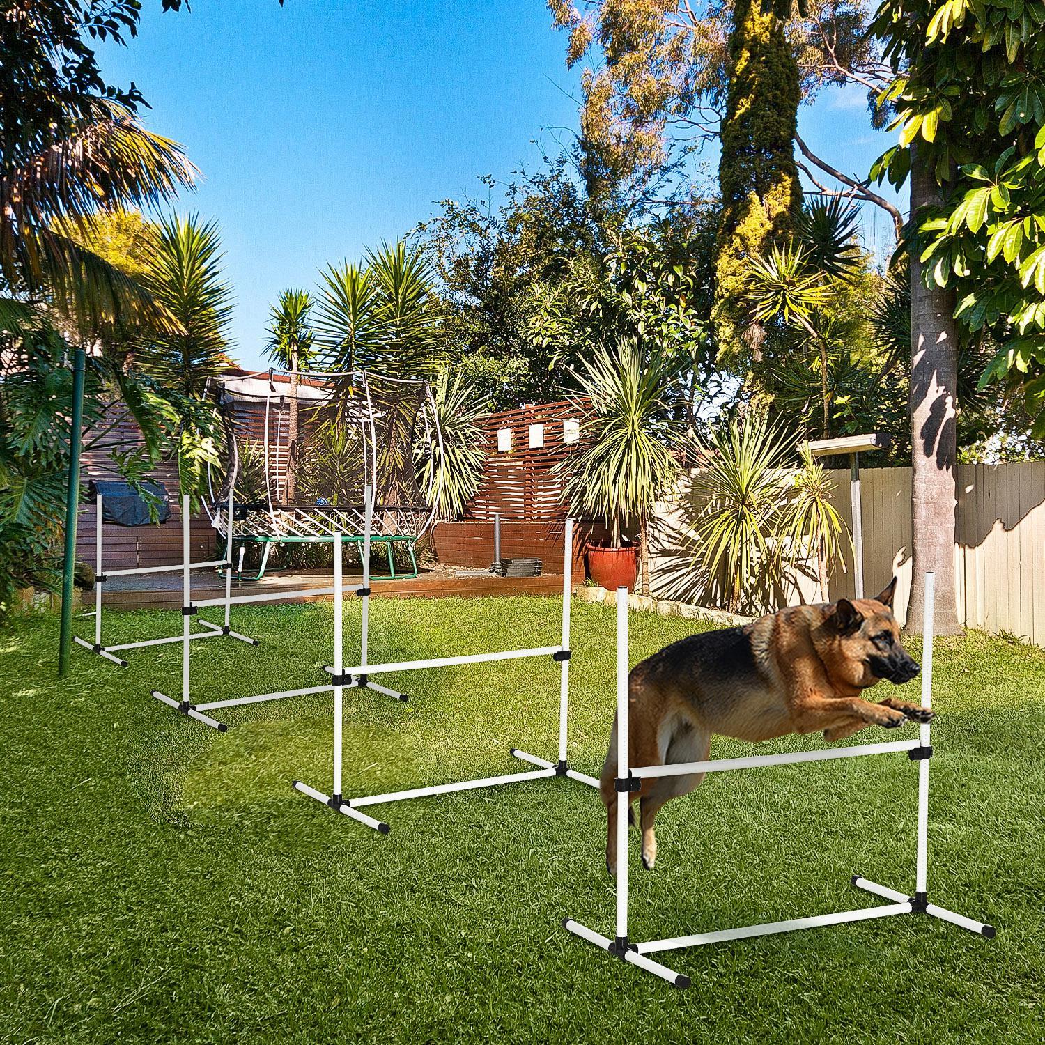 AgiliSet – 4-Piece Training Kit for Active Dogs