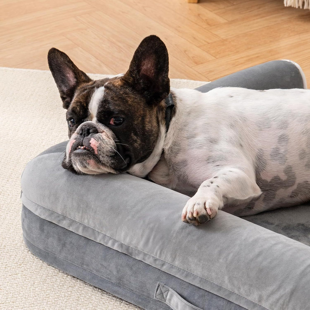 EggFoam Haven – Orthopedic Bed