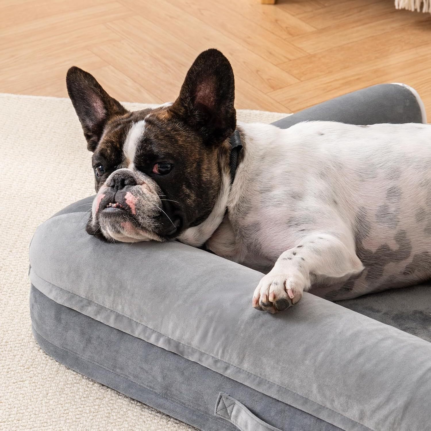 EggFoam Haven – Orthopedic Bed