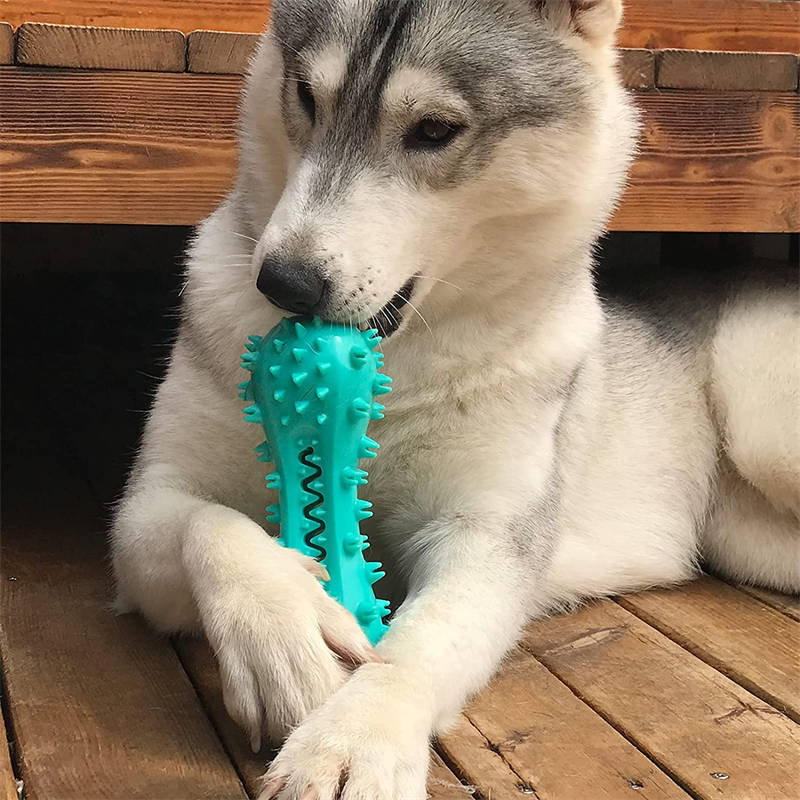 Cleaning Chew