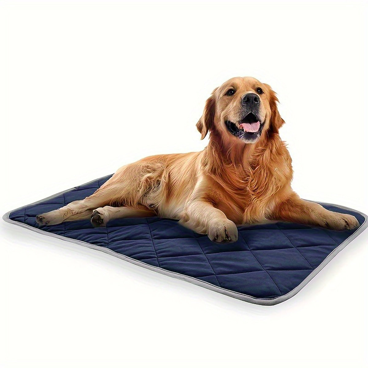 PupNest – Comfy Bed for Restful Naps