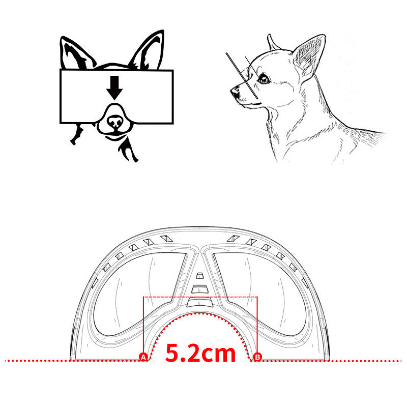 WindPaws – Stylish Sunglasses for Cool Pets