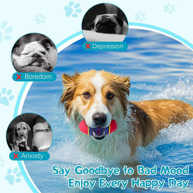 EggyPlay Interactive Dog Egg
