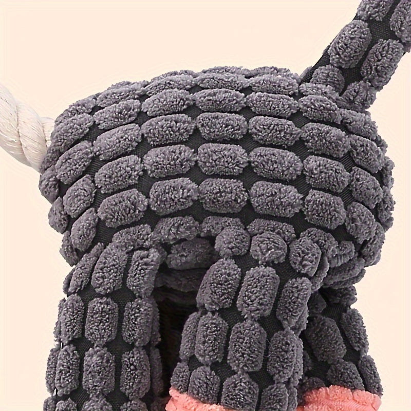 Franky the Donkey