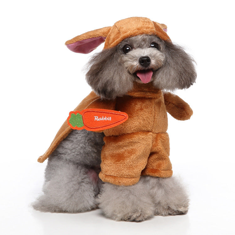 EuroPaws – Trendy Pet Outfits with Style