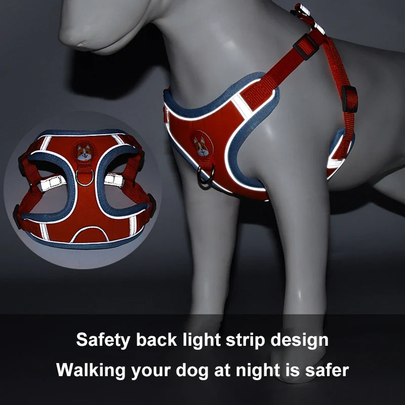 Pet Dog Harness And Leash