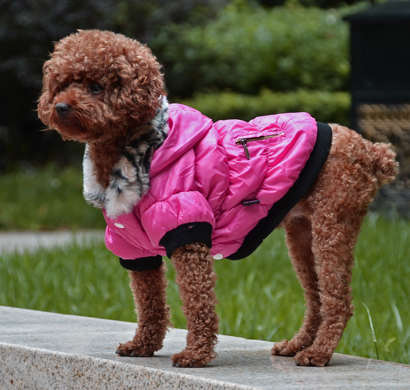 ZipCozy – Padded Cotton Jacket for Pets