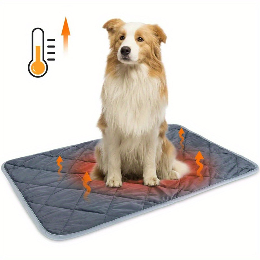 PupNest – Comfy Bed for Restful Naps