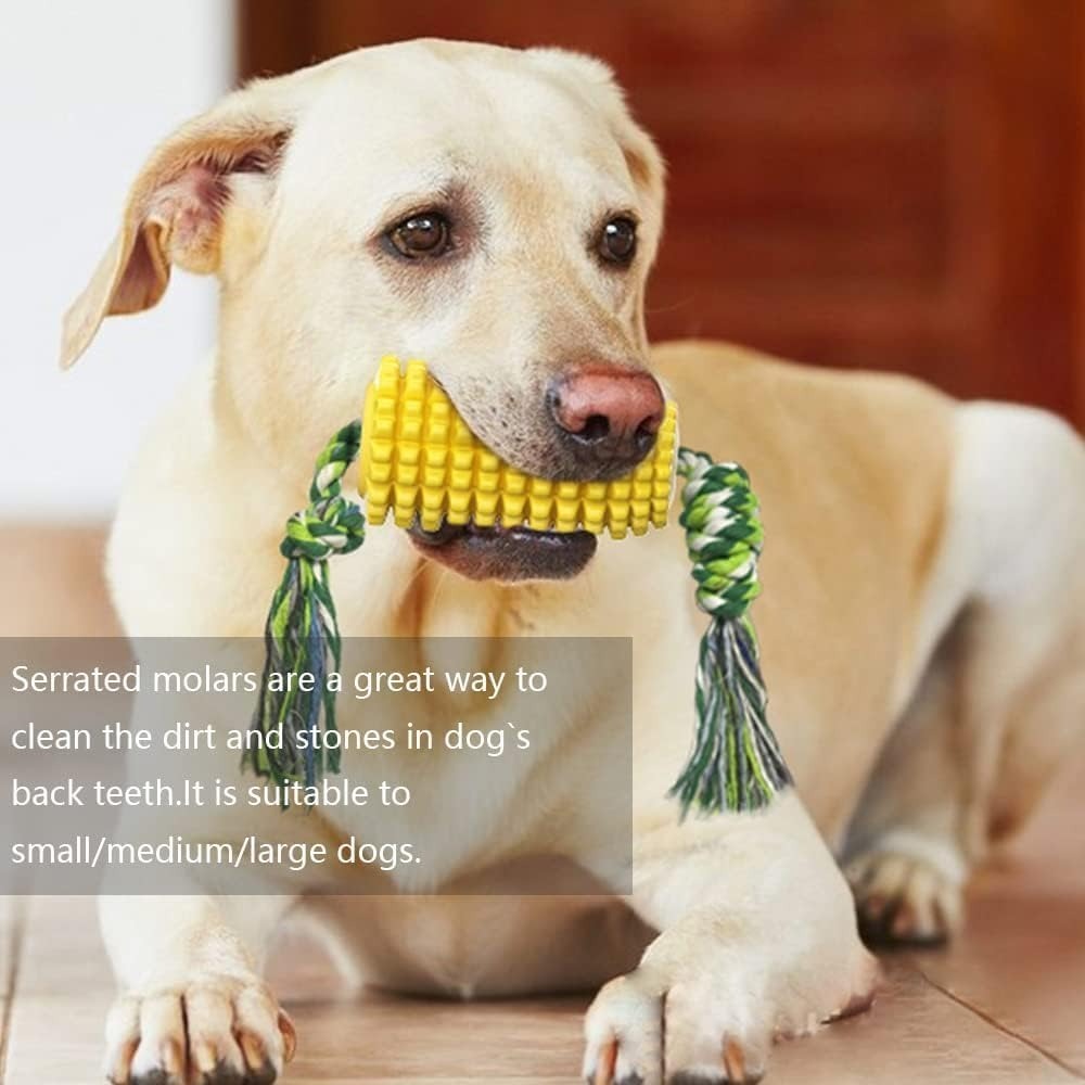 Chewing Corn Cob