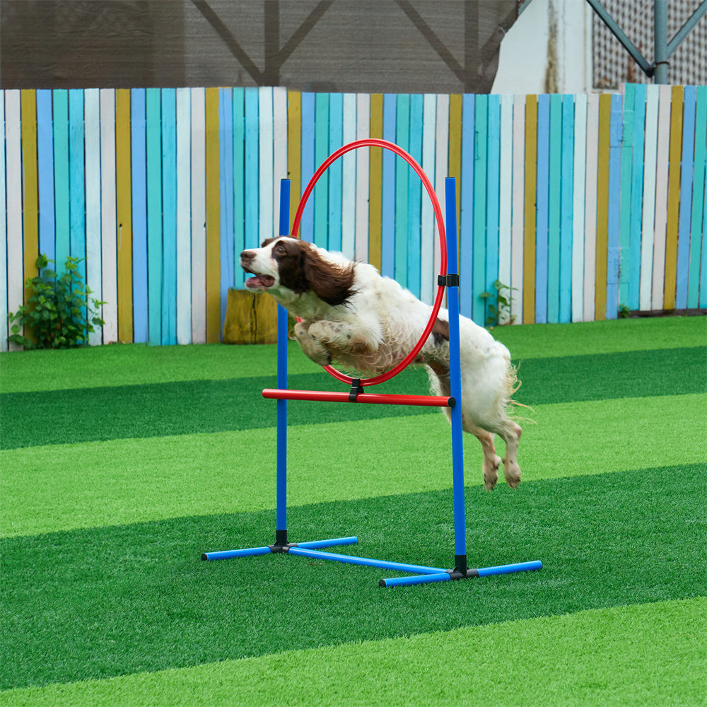 TrainPro – Full Training Set for Smart Dogs