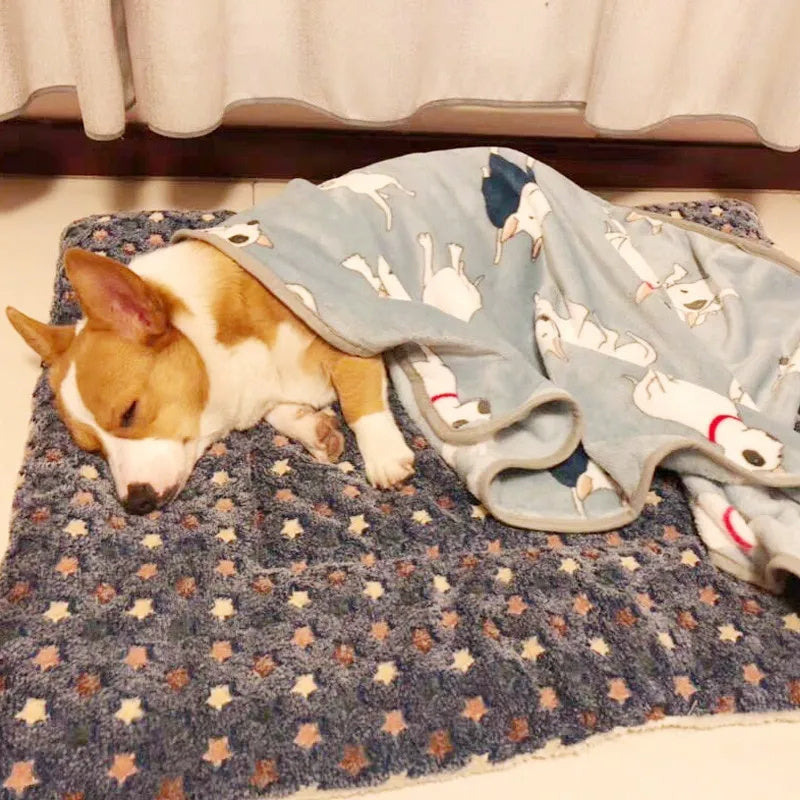 NapNest – Comfy Bed for Happy Pets