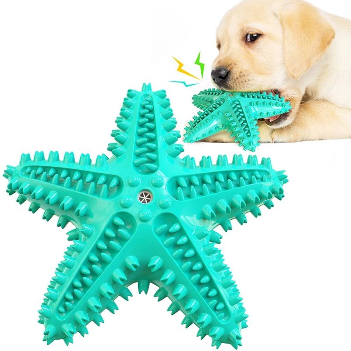 Star