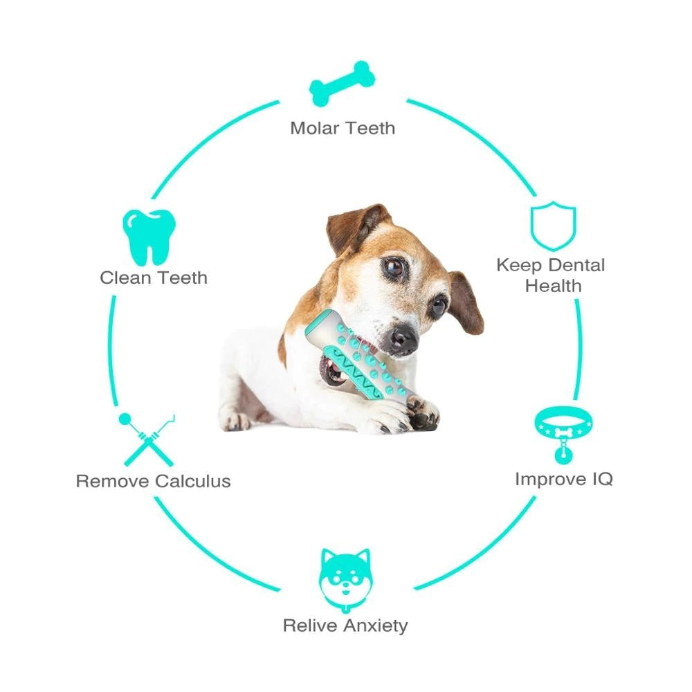 Tough Chew Buddy – Squeaky Toy