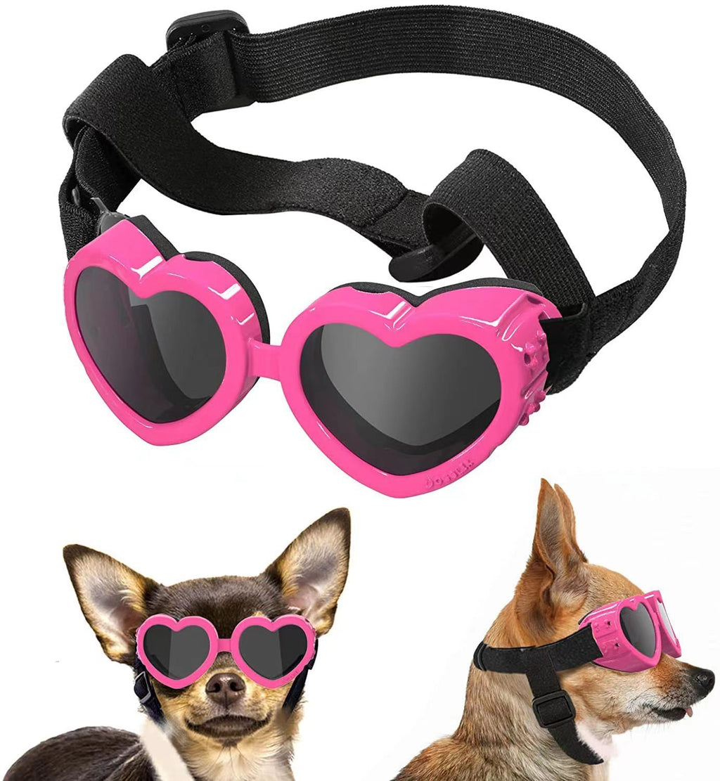 EyeGuard – Windproof Glasses for Pets